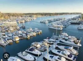 Stunning 2BR Penthouse Patio & View Venice MDR