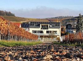 Holiday apartment in Vogtsburg-Bischoffingen with 1 bedroom, Hotel in Bischoffingen