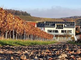 Holiday apartment in Vogtsburg-Bischoffingen with 1 bedroom, Hotel in Bischoffingen