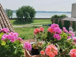 Bellavista Mantova