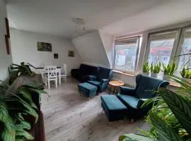 Apt Tęczowy widok
