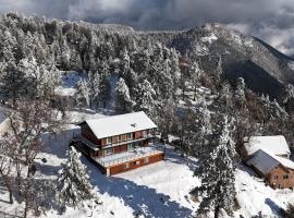 THE Cabin, Hotel in Running Springs