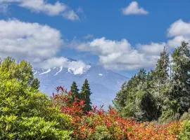 Maungatapu Studio 2 - Ohakune Holiday Home
