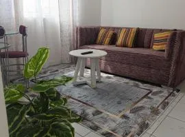 Sensera Homes