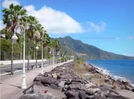 Appartement accueillant près de Basse-Terre, 57 m² avec balcon