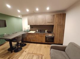 Appart avec Jardin & Vue Montagne - Proche Ski Briançon Serre Che, apartment in Villar-Saint-Pancrace