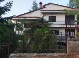 Pansion Lazaros