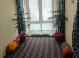 HomeStay Just a Minute Away From Dal Lake And Lal Chowk