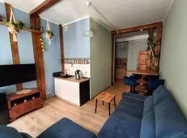 Miejski Chill - apartament nr 1