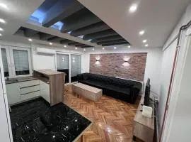 Luxurious Apartment