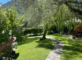 Salice Felice