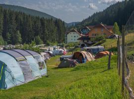 Camping Kleinenzhof, hotel in Bad Wildbad
