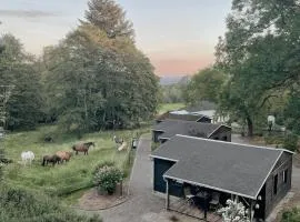 Ludwigslust Vogtland de - Ideal für Naturliebhaber & Fellnasen