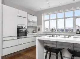 Stunning rooftop apartment in Reykjavík