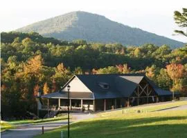 The Copperhead Lodge & Resort