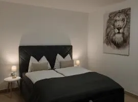 Apartman Ćosić