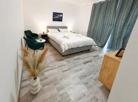 FLH - Studio Escape Din Munti