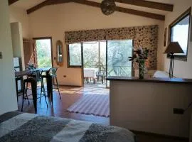 Cabaña Viñateros de Raiz a10 min de Chocalan