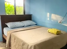 Osa House