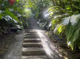 Pekoetrails Hantana Homestay