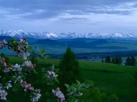 KOZA U WOZA WYPOCZNIJ W GÓRACH W RYTMIE SLOW drewniany dom premium z widokiem na panoramę Tatr ecoSPA strefa fitness ZIELONA FARMA warsztaty