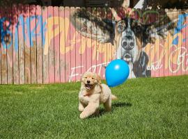 Sono Pet Clubs & Resorts VivaldiPark, hotel v destinaci Hongcheon