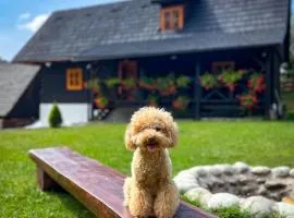 Traditional deer Cabin with Sauna - Chata Srňacie