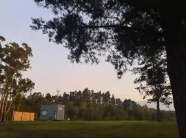 Mountain view Bespoke tiny home