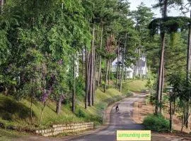 Lan anh Village - Luxury villa Tuyen lam lake view