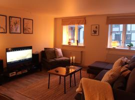 Visit wonderful Odense center - 3 bedroom appartment, pet-friendly hotel in Odense