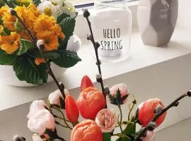 Pasivní dům uprostřed louky