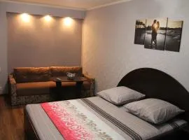 Apartment Katerynivska 8