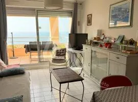 appartement 1 chambre vue dominante mer