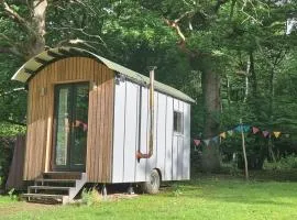 Wyldewood Retreat - Luxury Glamping with Wild Spa