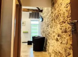 "La Petite Félixière" à 25 min du Puy du Foù, 10 min de Cholet, et 35 min de Nantes