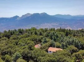 Monte Ortobene 1