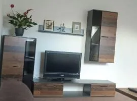 Apartmán v podkroví Olomouc