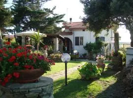 Solmar Apartments