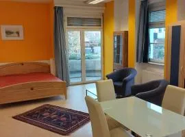 1 Zimmer Wohnung mit Balkon