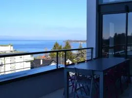 Villa avec vue sur lac léman
