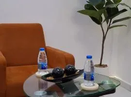 Seckebe Immo Et Business Studio Gris