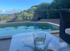 Modern Villa with Pool in Marigot - 100 m²