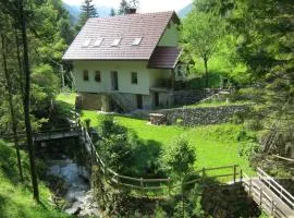 House Dolenja Trebuša