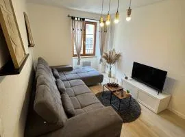 Jolie T2, 55 m, centre ville soultz