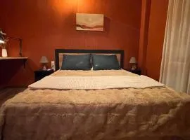 The cozy nest