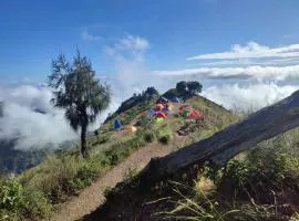 2Days Shared Camping At Mount Rinjani