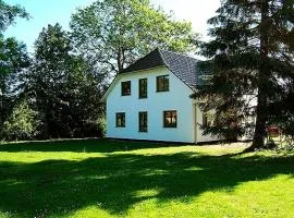 Hütigendachs, FW 4