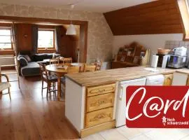 Ferienwohnung Seeblick Nr 3, 2 Zi-Bärental, Feldberg