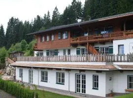 Exclusive apartment with sauna-Reith in Kitzbühel