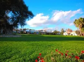 Pedras D'el Rei Villa V1